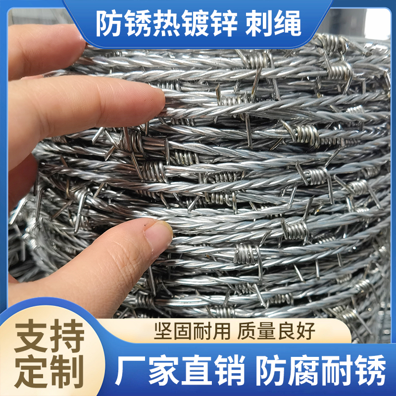 防盗刺绳防护网铁刺绳网刺铁丝防爬刺铁蒺藜围栏墙镀锌不生锈厂家