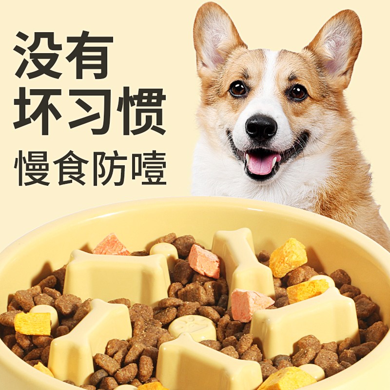 狗狗慢食碗狗慢食盆小型犬防噎狗碗宠物防吃吃饭快狗食钵狗盆防滑