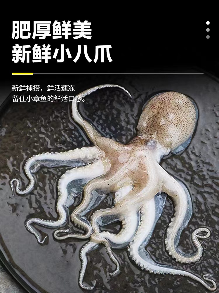 连云港发货 鲜活速冻 迷你八爪鱼 3斤