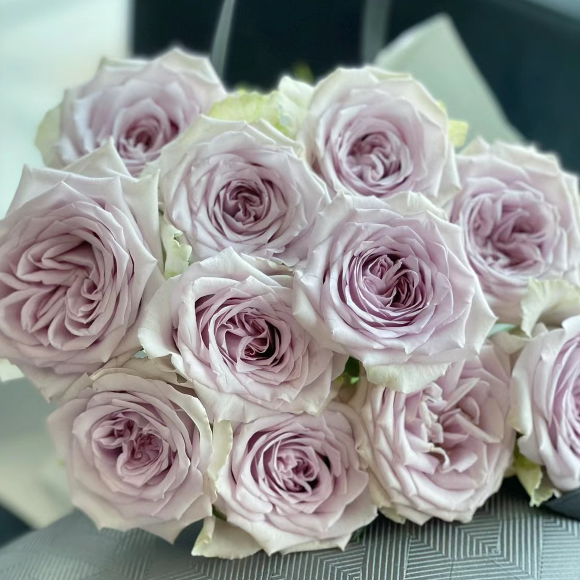 【海洋之谜玫瑰】多头杯状月季玫瑰