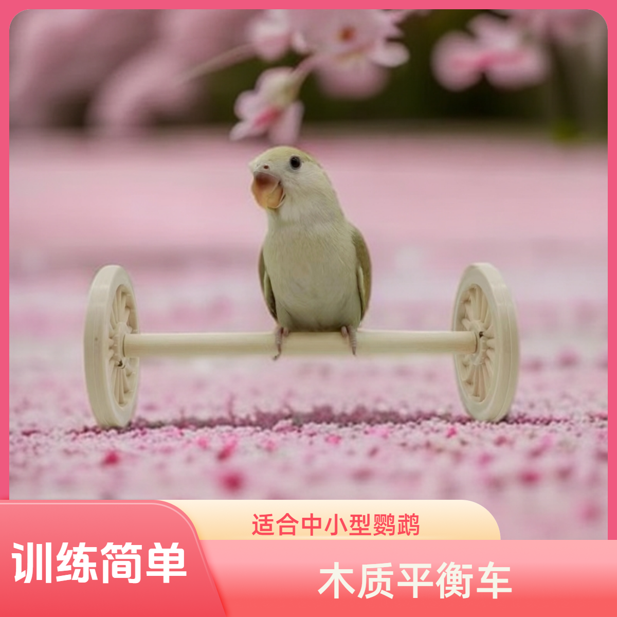 鹦鹉玩具解闷平衡车中小型鸟用品滑轮滑板技能训练道具玄凤鸟玩具