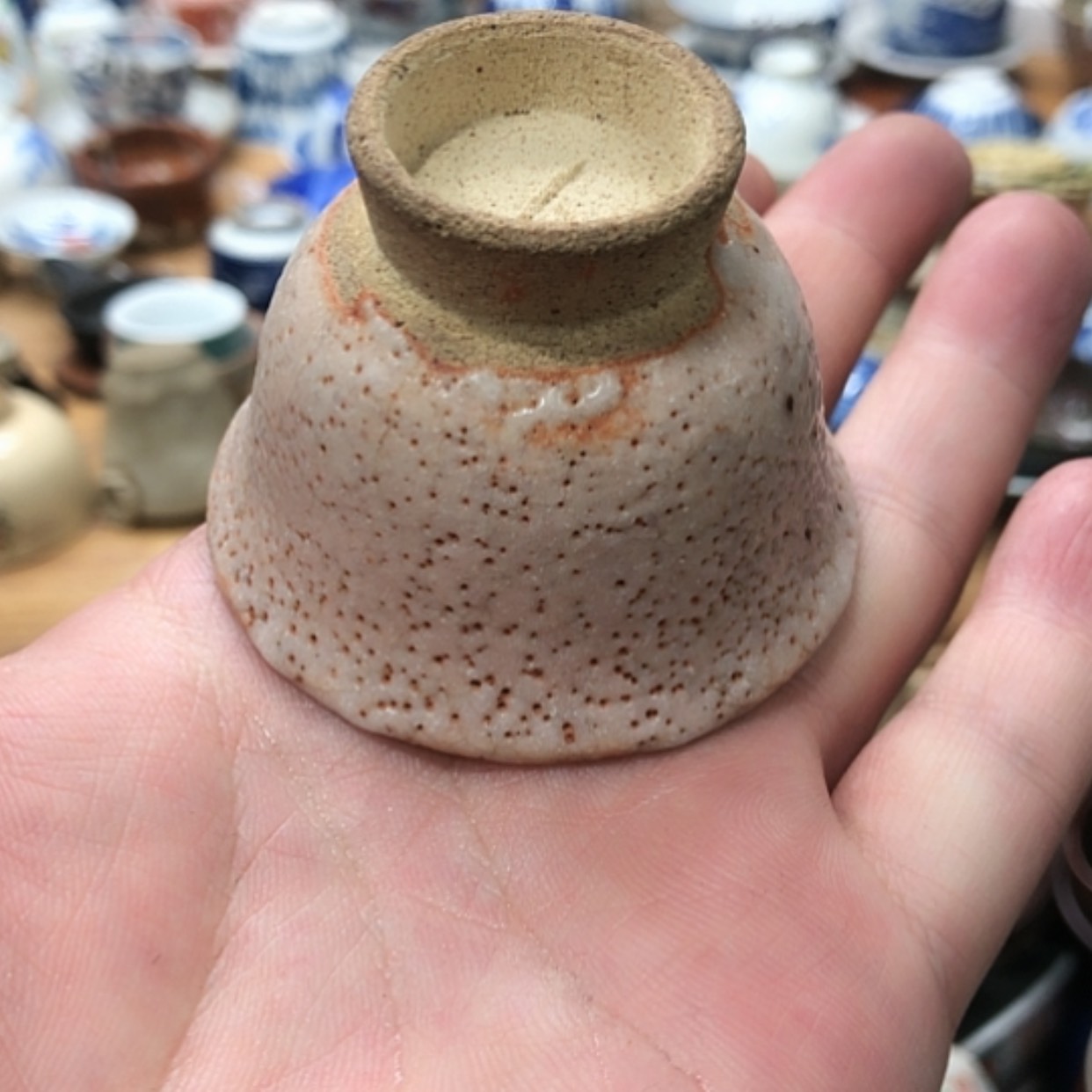 【闪购商品】陶瓷盘