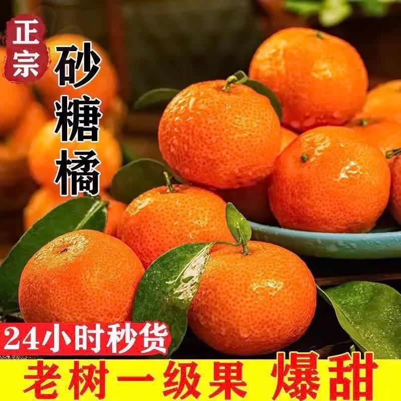 正宗砂糖橘新鲜水果橘子1斤当季整箱无籽金秋砂糖桔小柑橘多汁