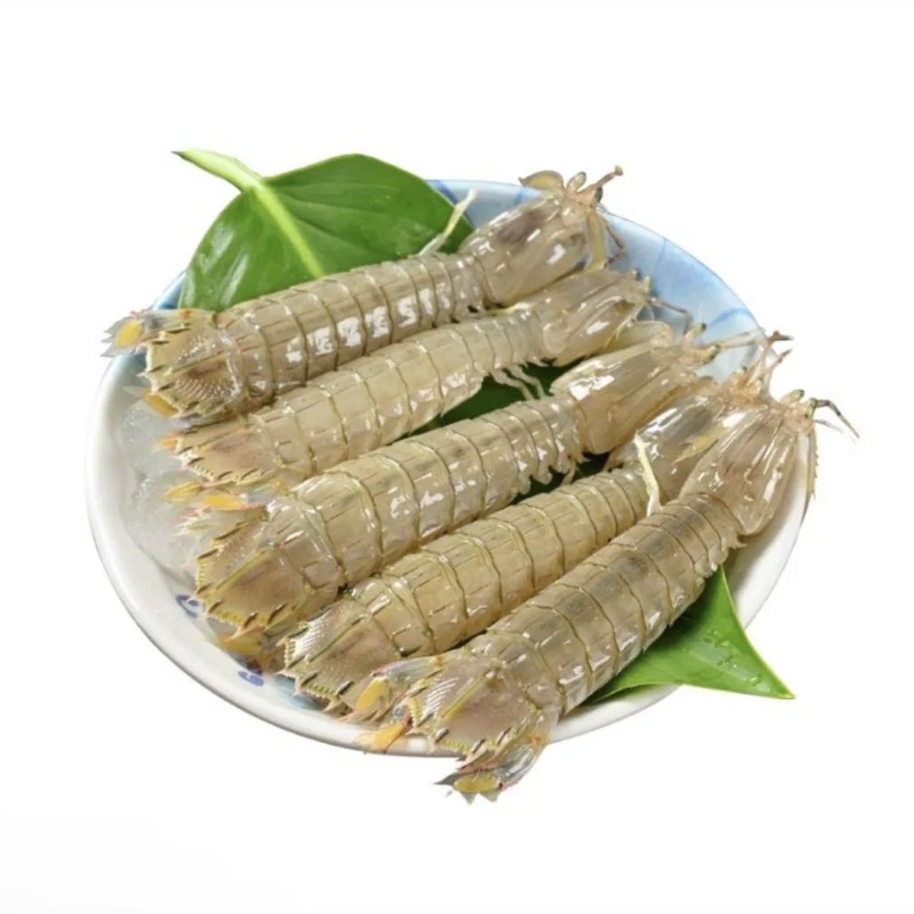 皮皮虾大号500g±10g