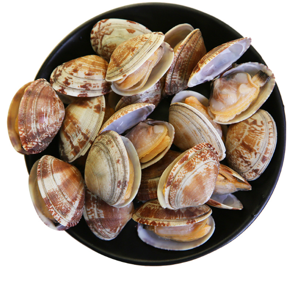 大花甲 500g/斤（60粒左右）