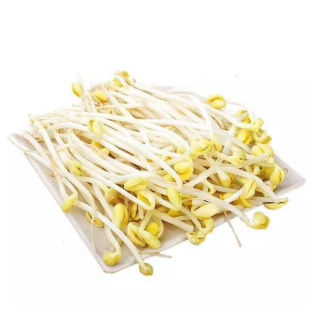黄豆芽500g /份