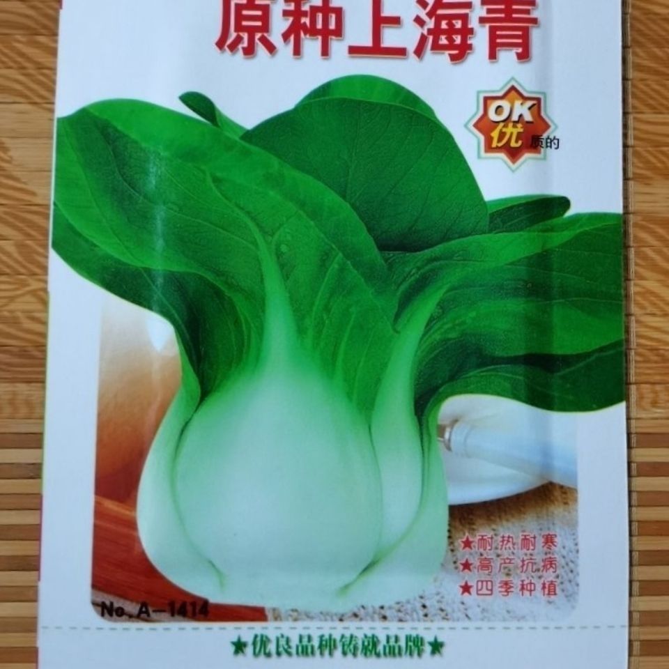 原种上海青油菜种子四季播高产上海青菜种子农家小油菜籽蔬菜种子