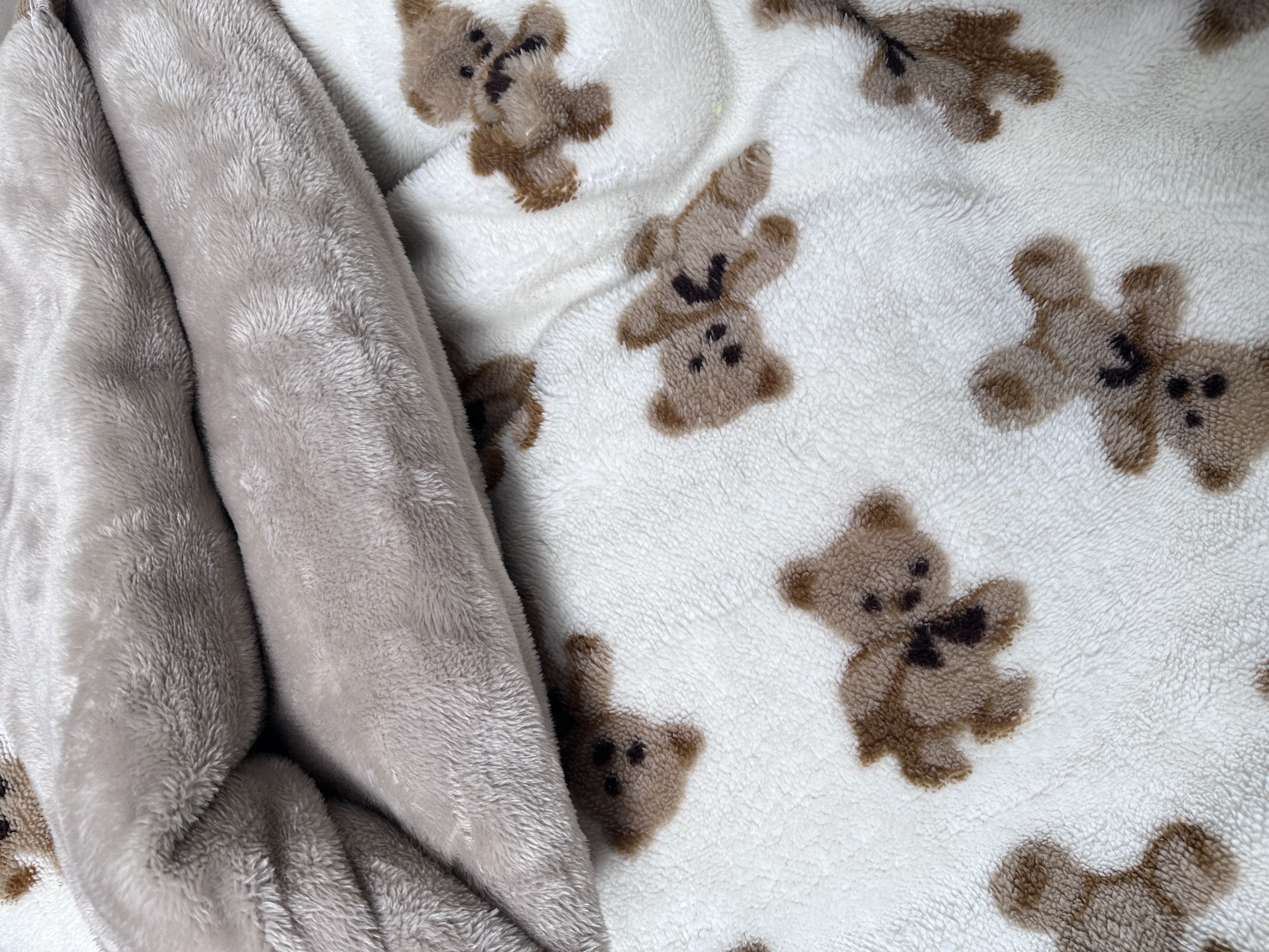 200*230【泰迪被尔】加厚冬被进口绒可爱学生加绒印花奶绒宿舍绒被2