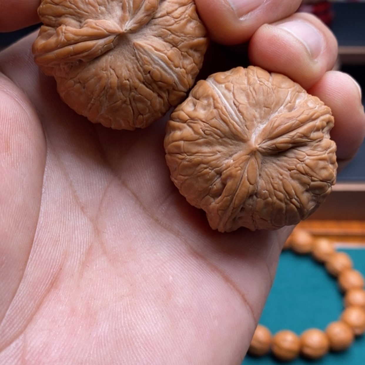 【闪购商品】文玩核桃把件丨***丨