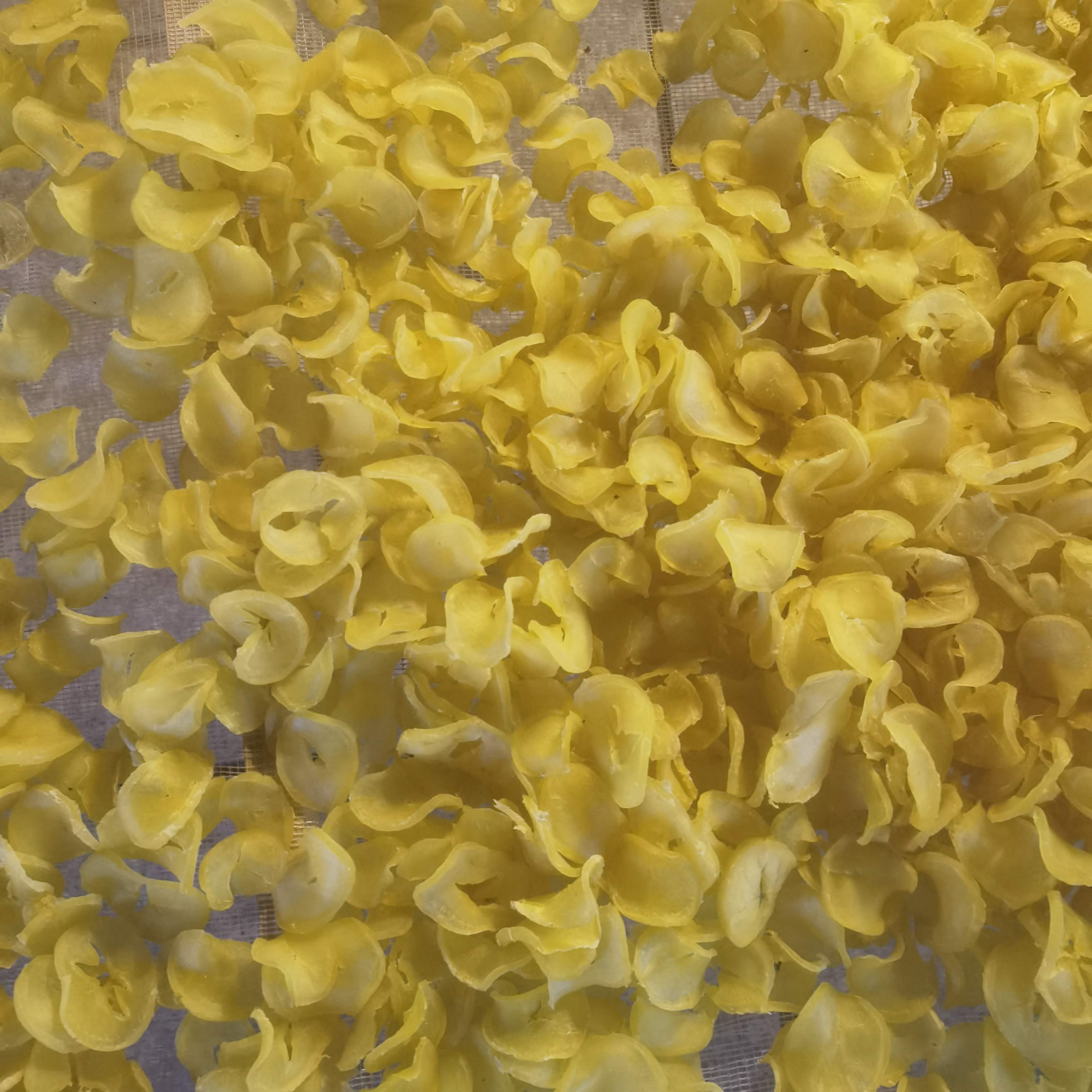 【交投专属】 东北伊春特产农家小园子土豆干，自然晾晒！