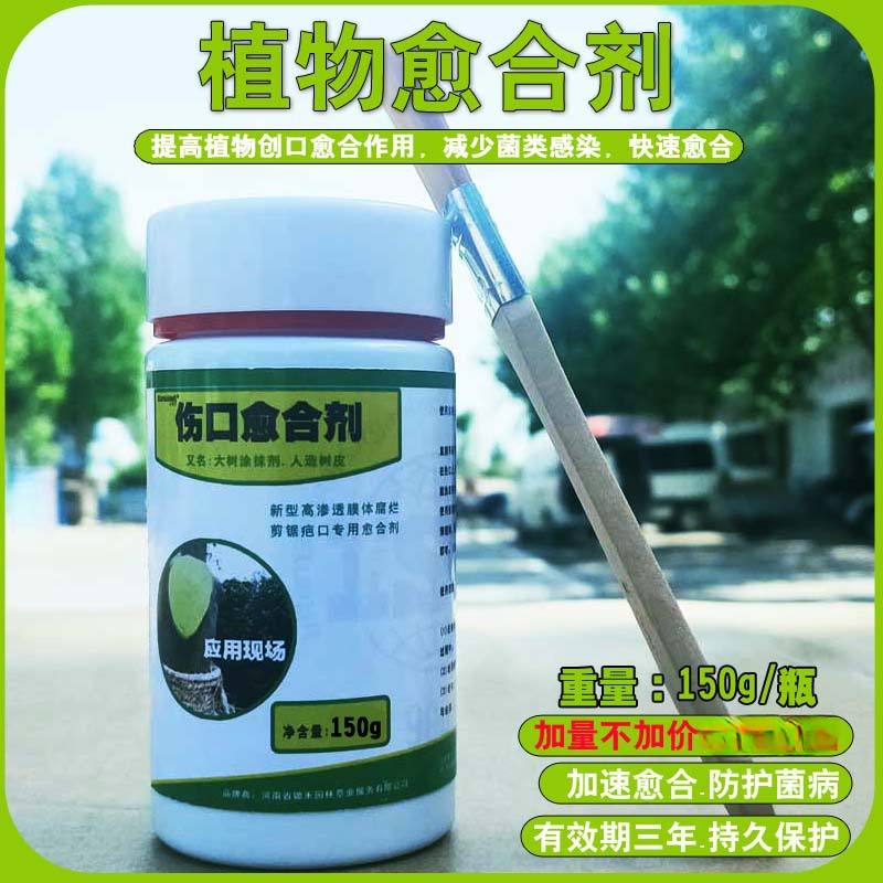 树木伤口愈合膏果树伤口涂膜剂大树创伤涂抹剂树干封口愈合剂园林