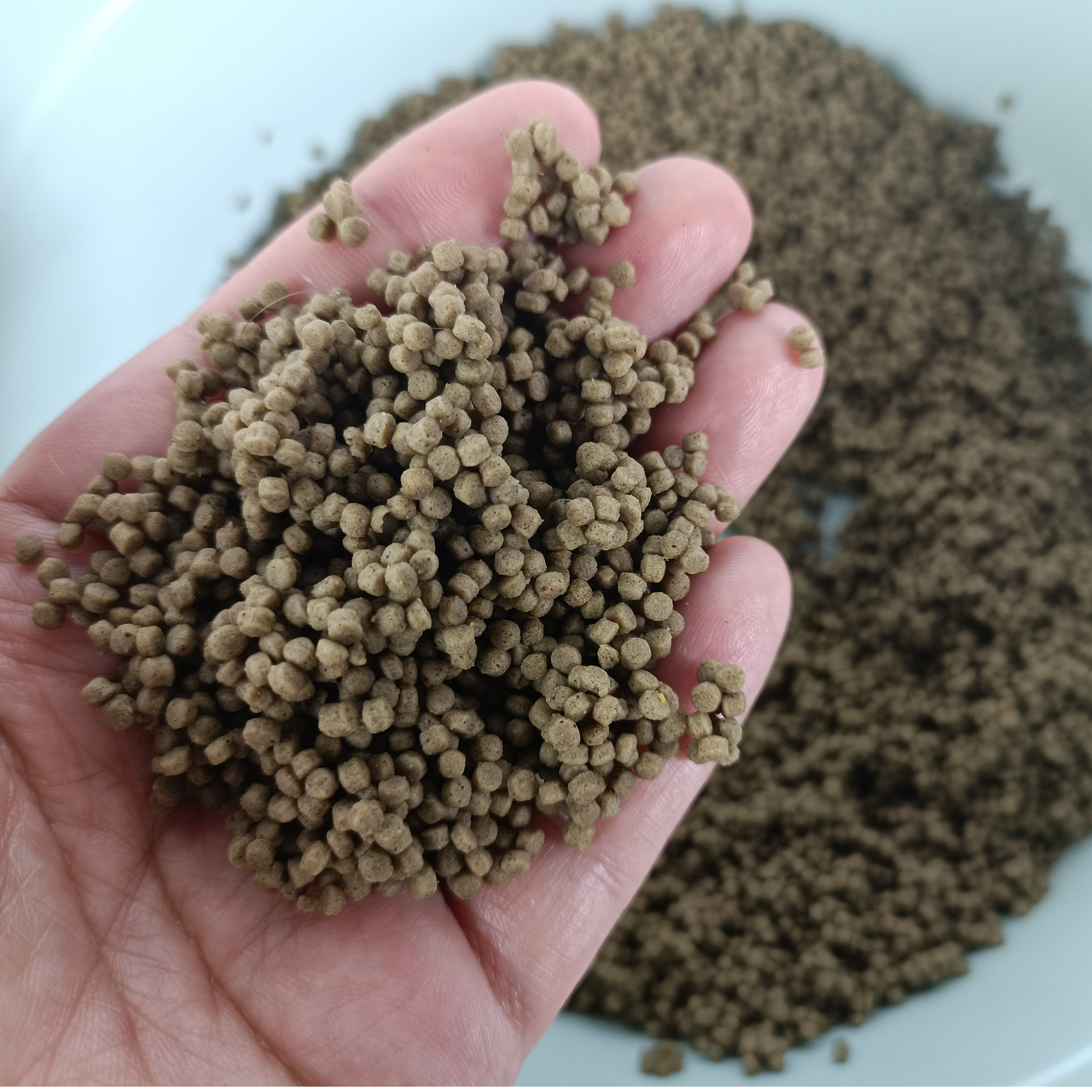 3斤装0.3毫米1.0毫米泡泡球黄金豆高蛋白