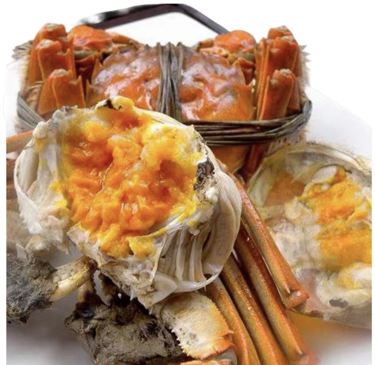 3️⃣【鲜活】精品大闸蟹10只母蟹（3两左右/只）