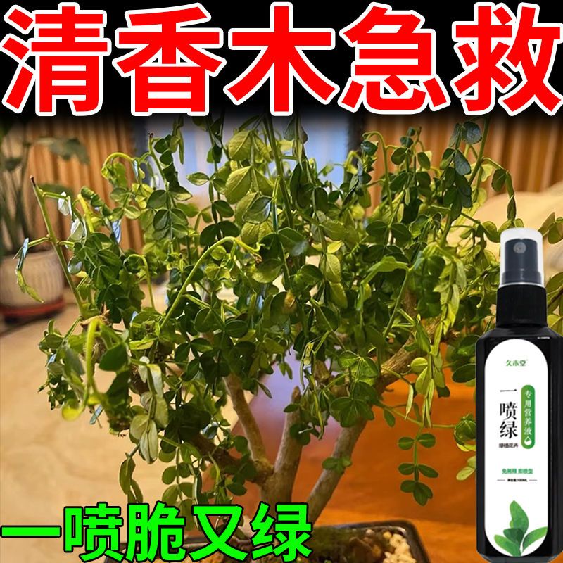 清香木营养液治叶子发黄枯萎低垂无神掉落生长缓慢免稀释液体肥料