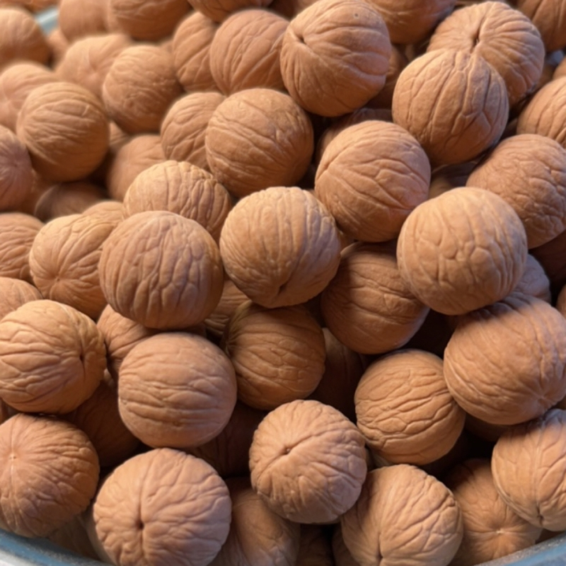 聚宝盆猴头核桃雕刻料55颗 16 17CM