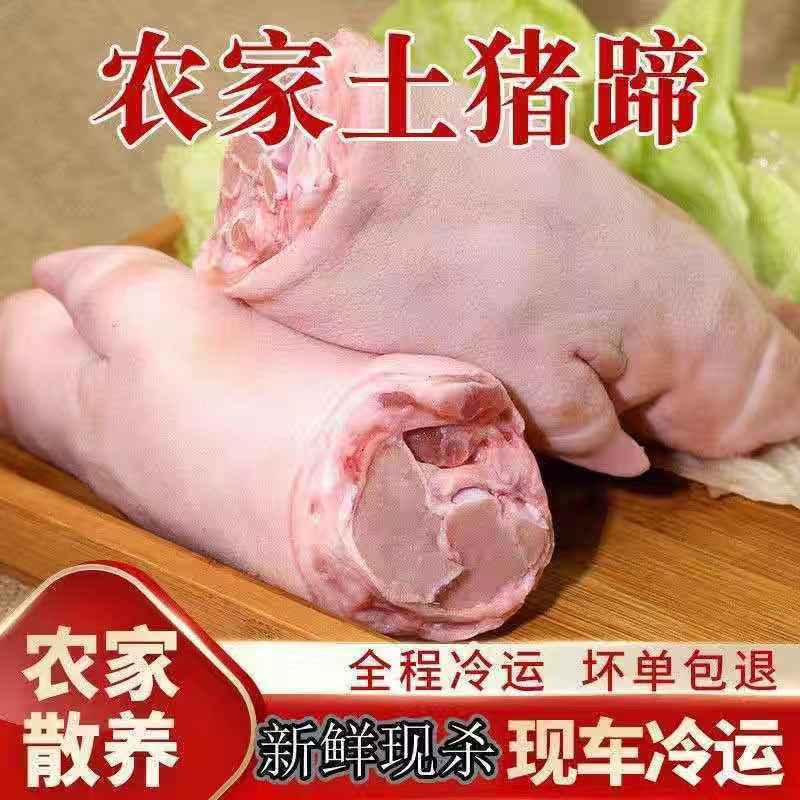 农村散养整只猪蹄带筋猪脚猪爪前蹄整箱猪蹄子整只批发猪蹄生新鲜