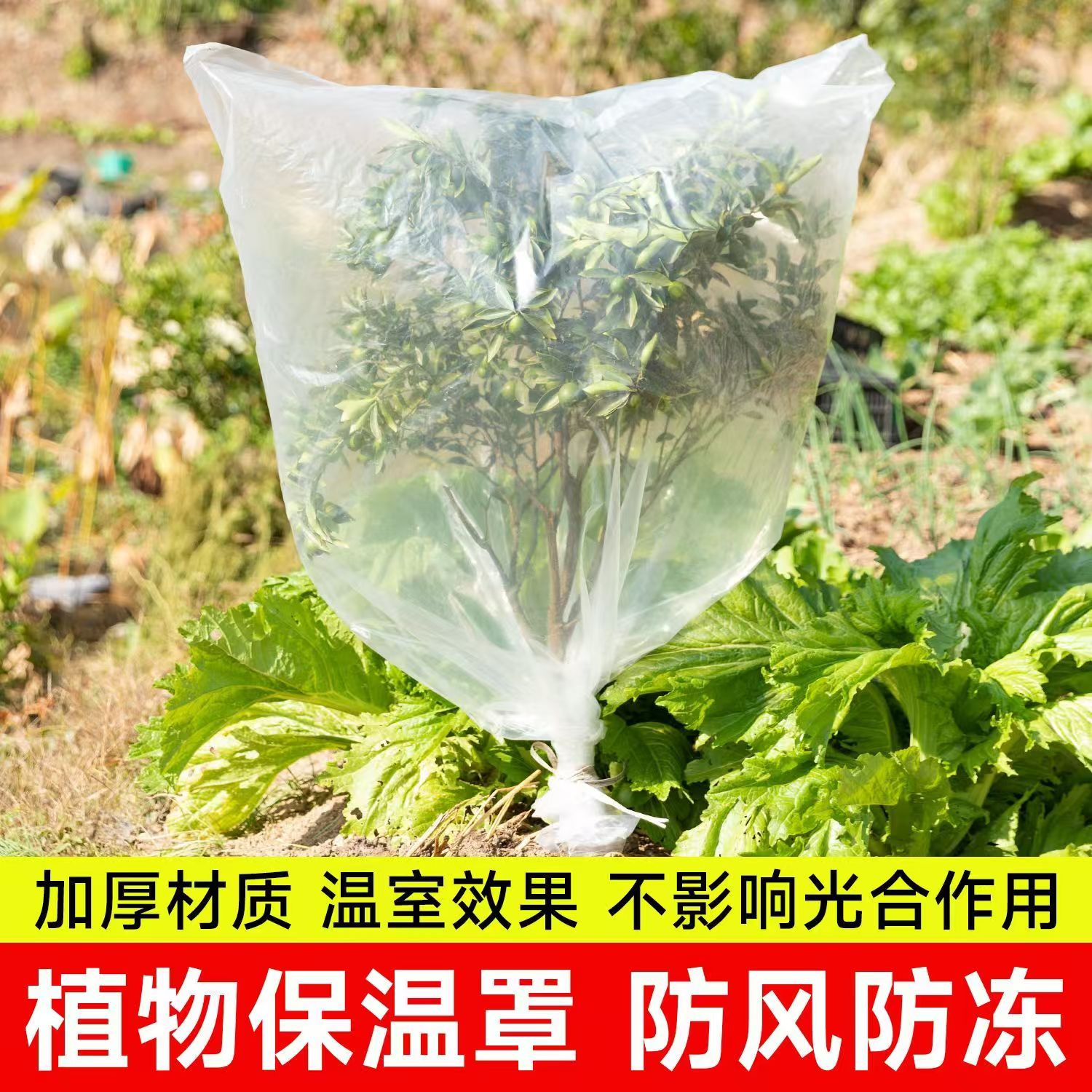 加厚塑料薄膜过冬花卉绿植盆栽防冻保温罩袋植物冬季果树防冻罩商品图