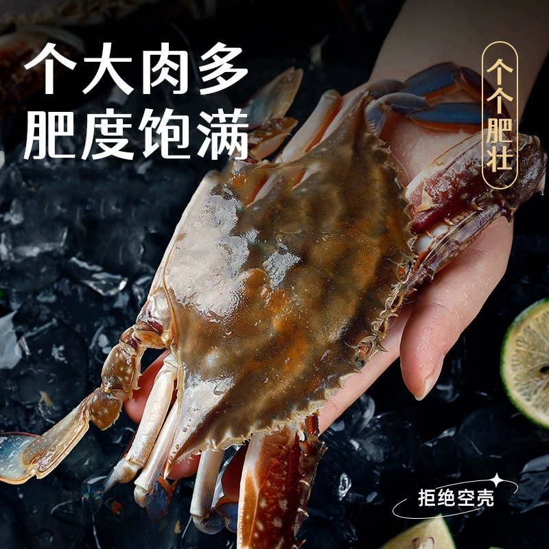 优选舟山梭子蟹 3斤母蟹  东海捕捞活冻液氮蟹（个别断腿介意勿拍）
