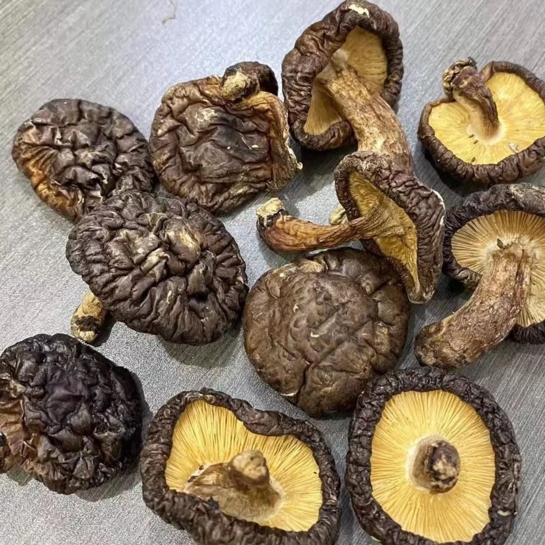 福永医长白山 香菇 净重250克/500克滋补食用散装