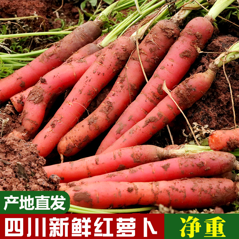 咗酱爷四川新鲜红萝卜3斤/5斤/8斤