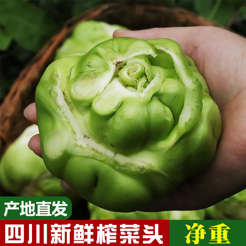 咗酱爷四川新鲜榨菜头菱角菜涪陵榨菜3/5/8斤