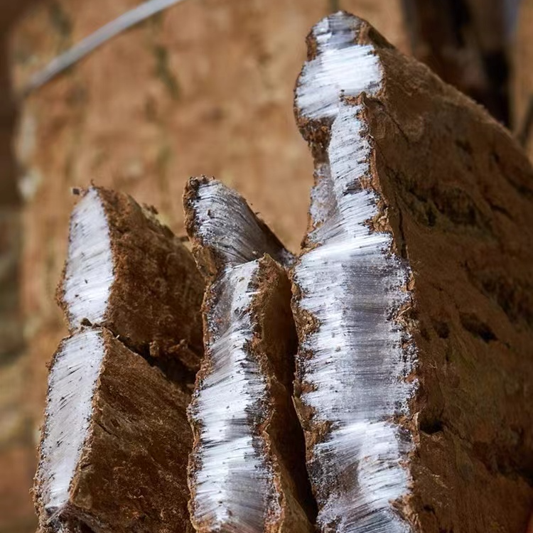 杜仲深山老树去粗皮泡酒煲汤刮皮老杜仲泡茶