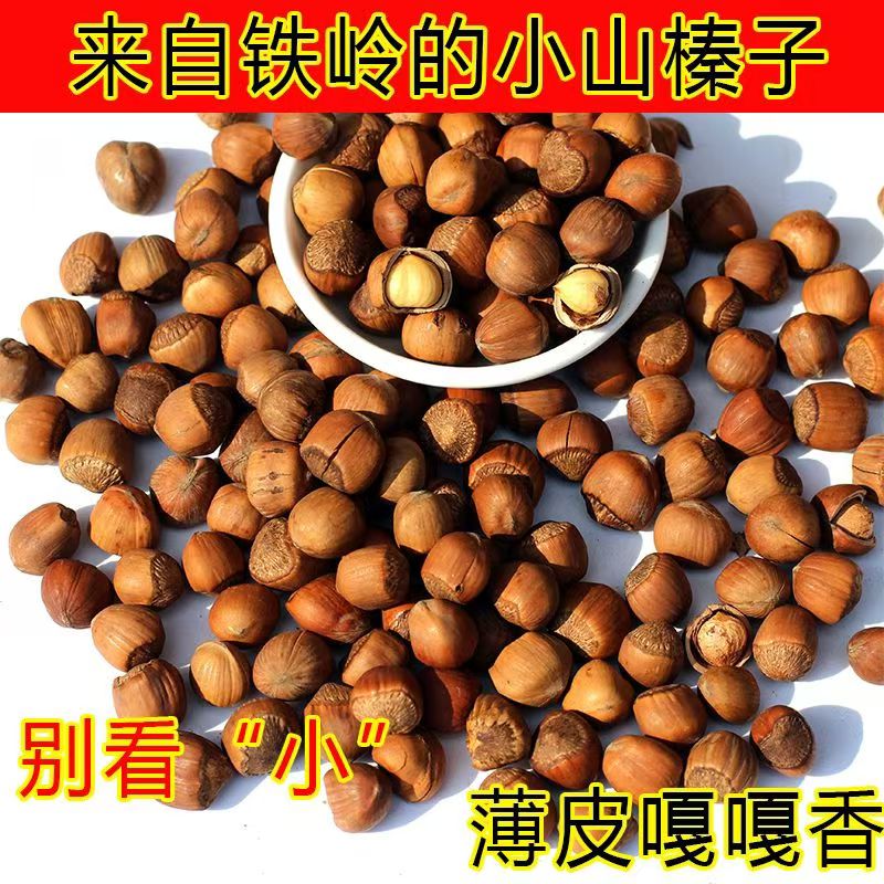 东北炒熟野山榛子小粒1.1以上5斤