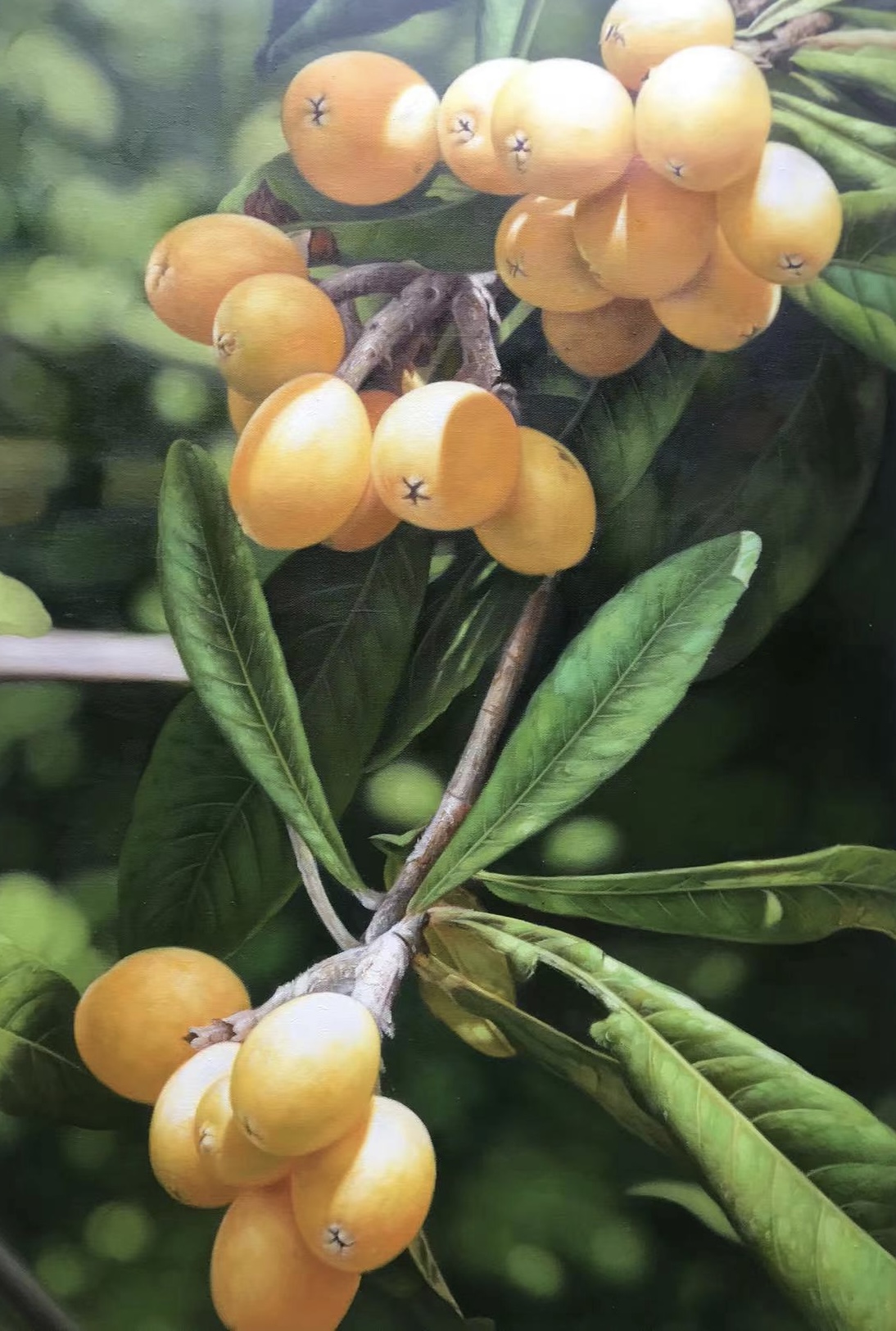 艺昕艺术/餐厅挂画/枇杷/尺寸：60X90CM手绘油画单幅