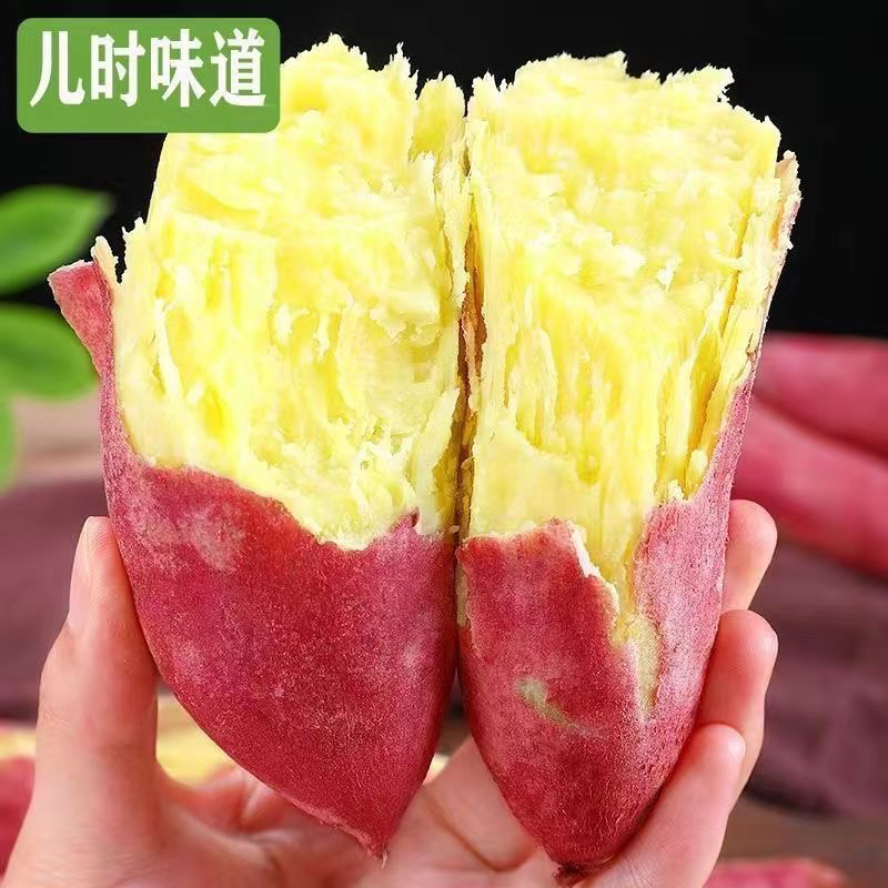 正宗陕西特产板栗红薯粉面干甜农家自种红皮黄心板栗薯