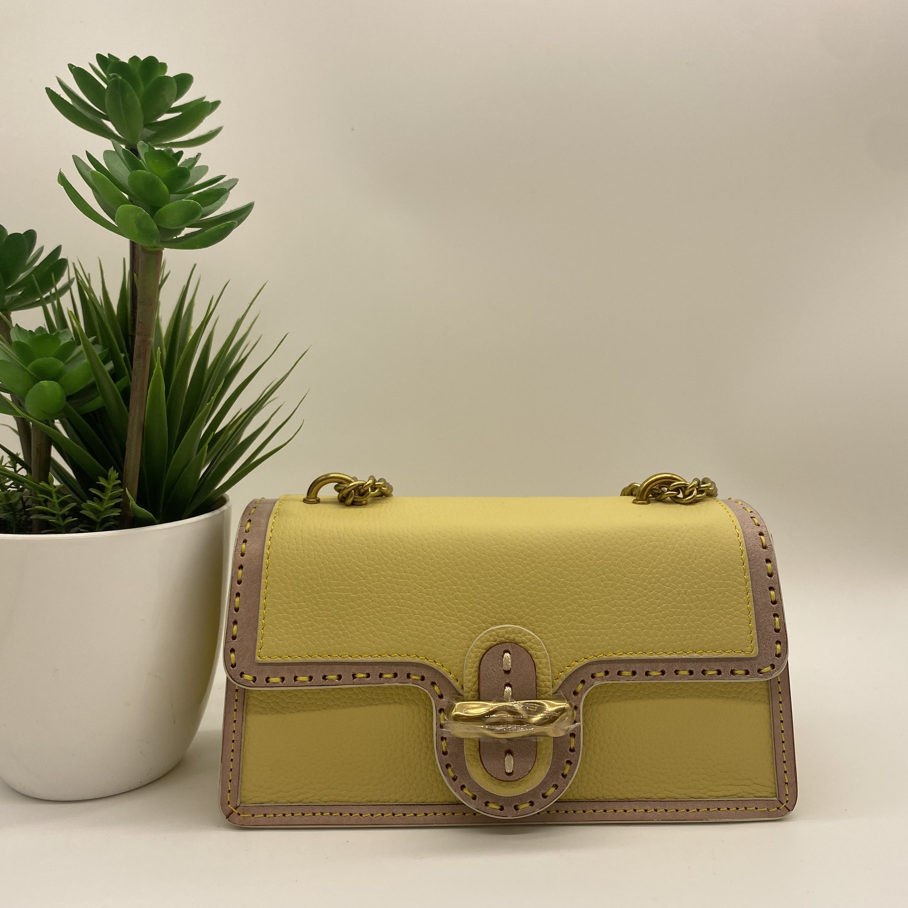 食草堂时尚链条⛓️包  殊色