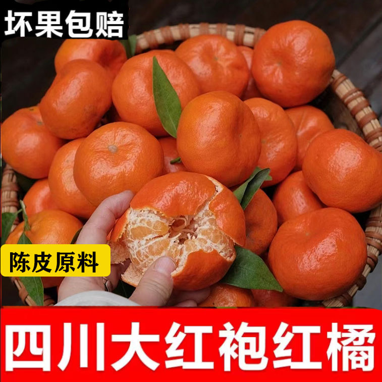 正宗重庆万州大红袍古红橘新鲜水果陈皮原料三十年以上老树红桔