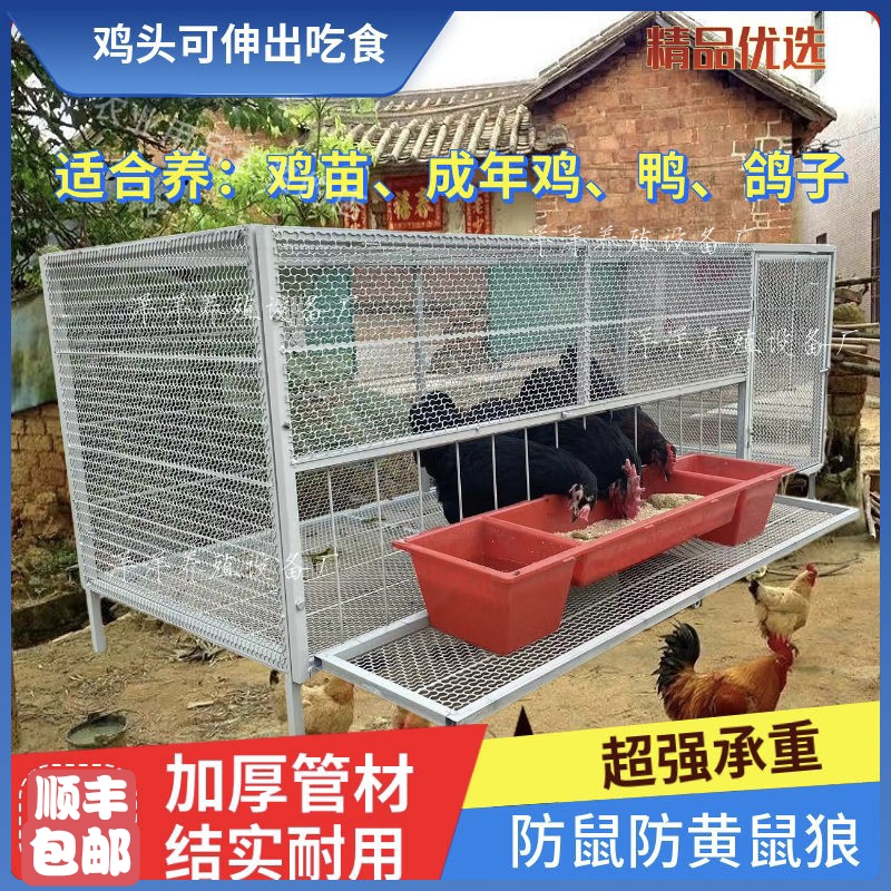 家用鸡笼滚蛋鸡笼家禽笼可探出笼吃食喝水可防老鼠可防黄鼠狼新款