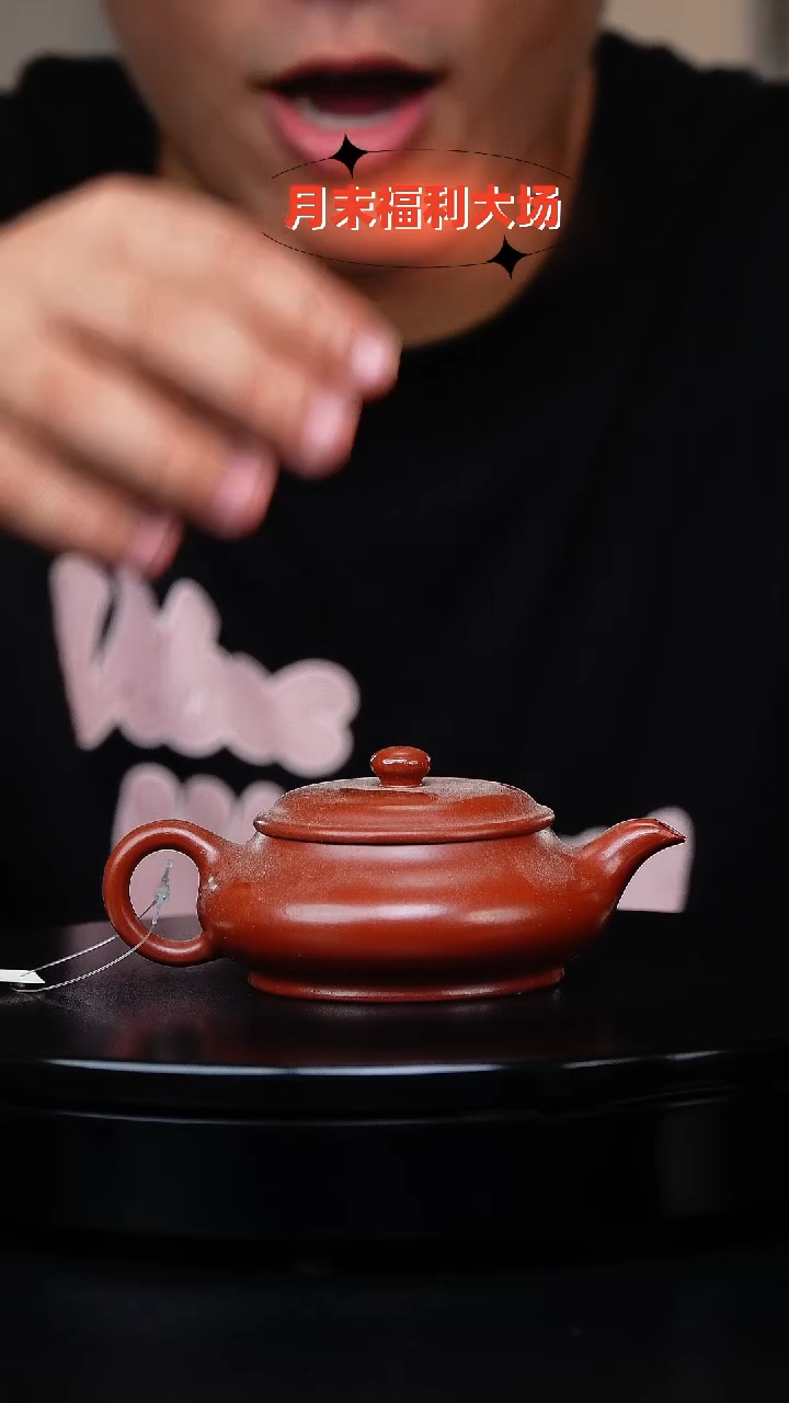 【闪购商品】紫砂茶壶宜兴紫砂壶