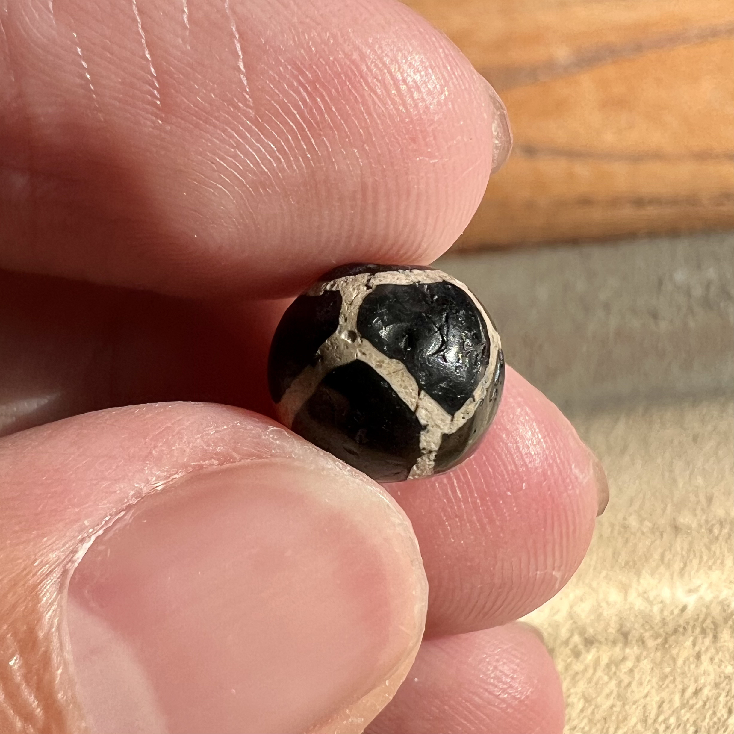 锦诚古珠小肥肉 黑白足球 尺寸10.1*9.2