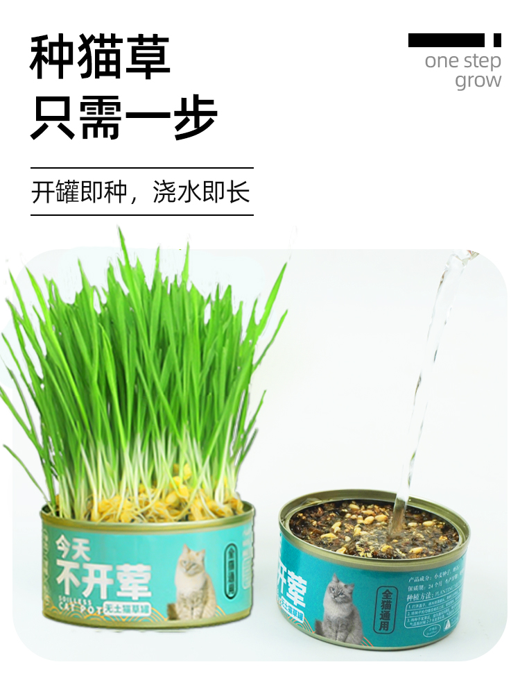 猫草罐头小麦种子育苗盘不发霉猫咪薄荷化毛草自己种懒人猫草盆栽
