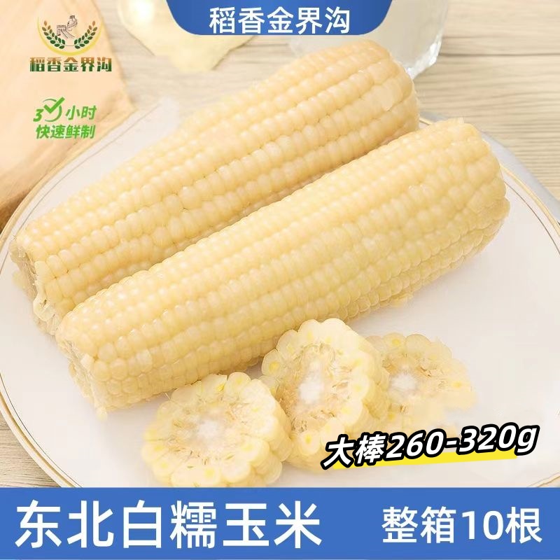 试吃一根【260g-320g*10支】东北白糯玉米真空包装香甜饱腹代餐粗粮