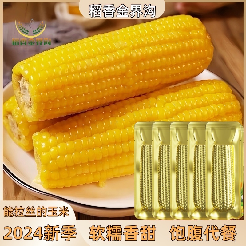 【新季玉米】东北黄糯【金铝箔包装】250-320g*10根香甜软糯清甜