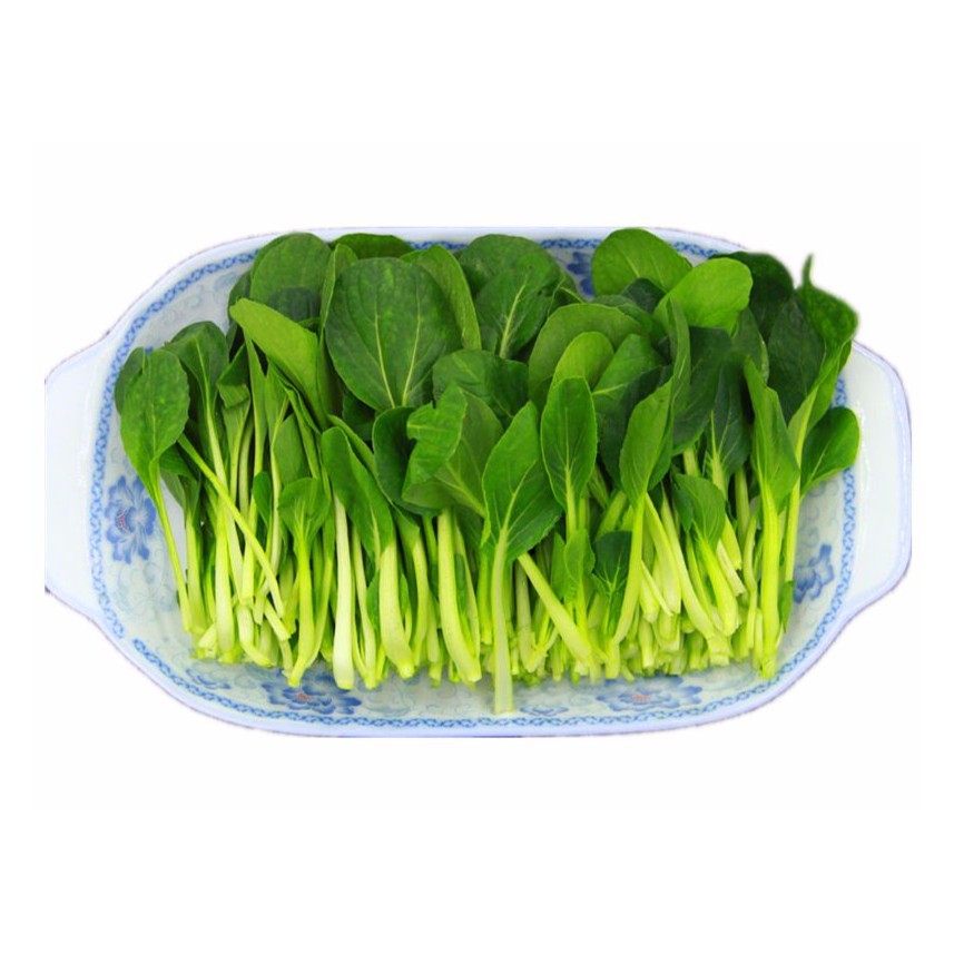 鸡毛菜约250g