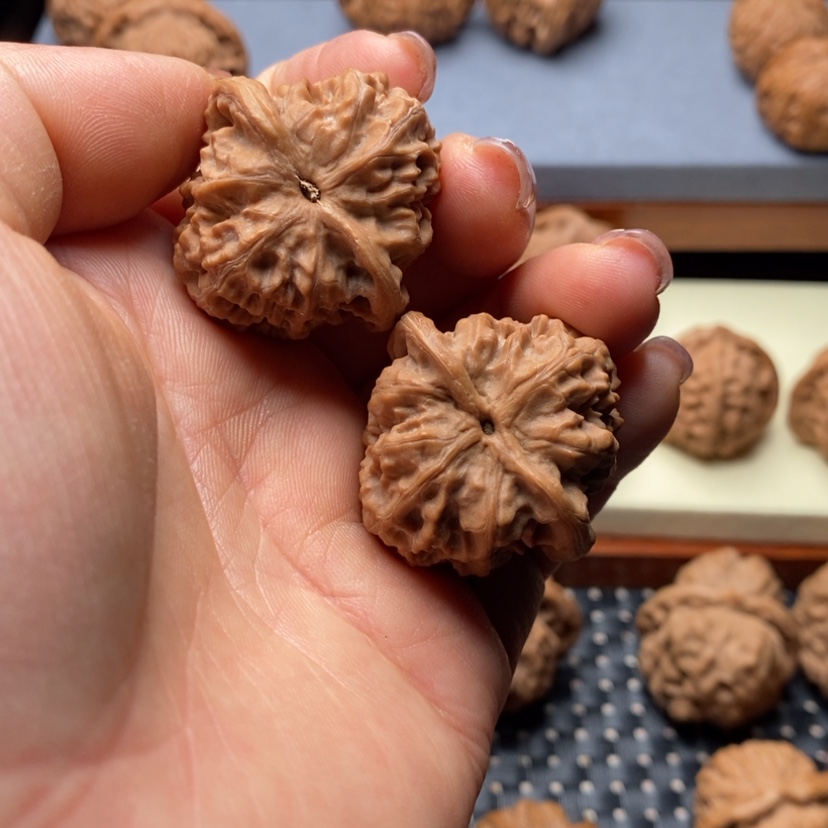 【闪购商品】桃核吊坠巴****?35野狼