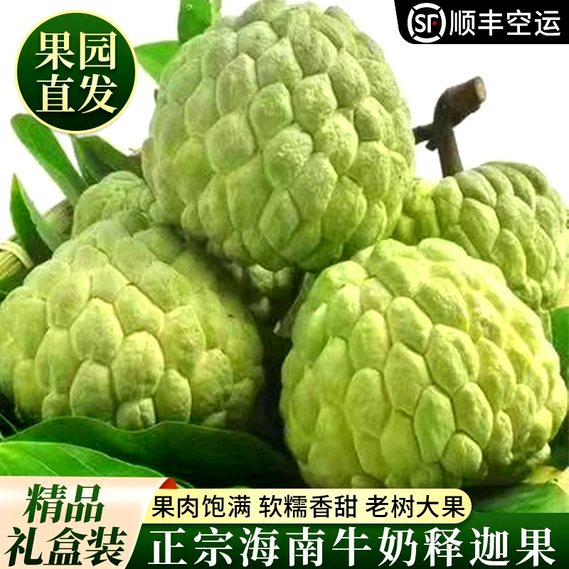 海南大目释迦果园新鲜采摘发货3/5斤礼盒装