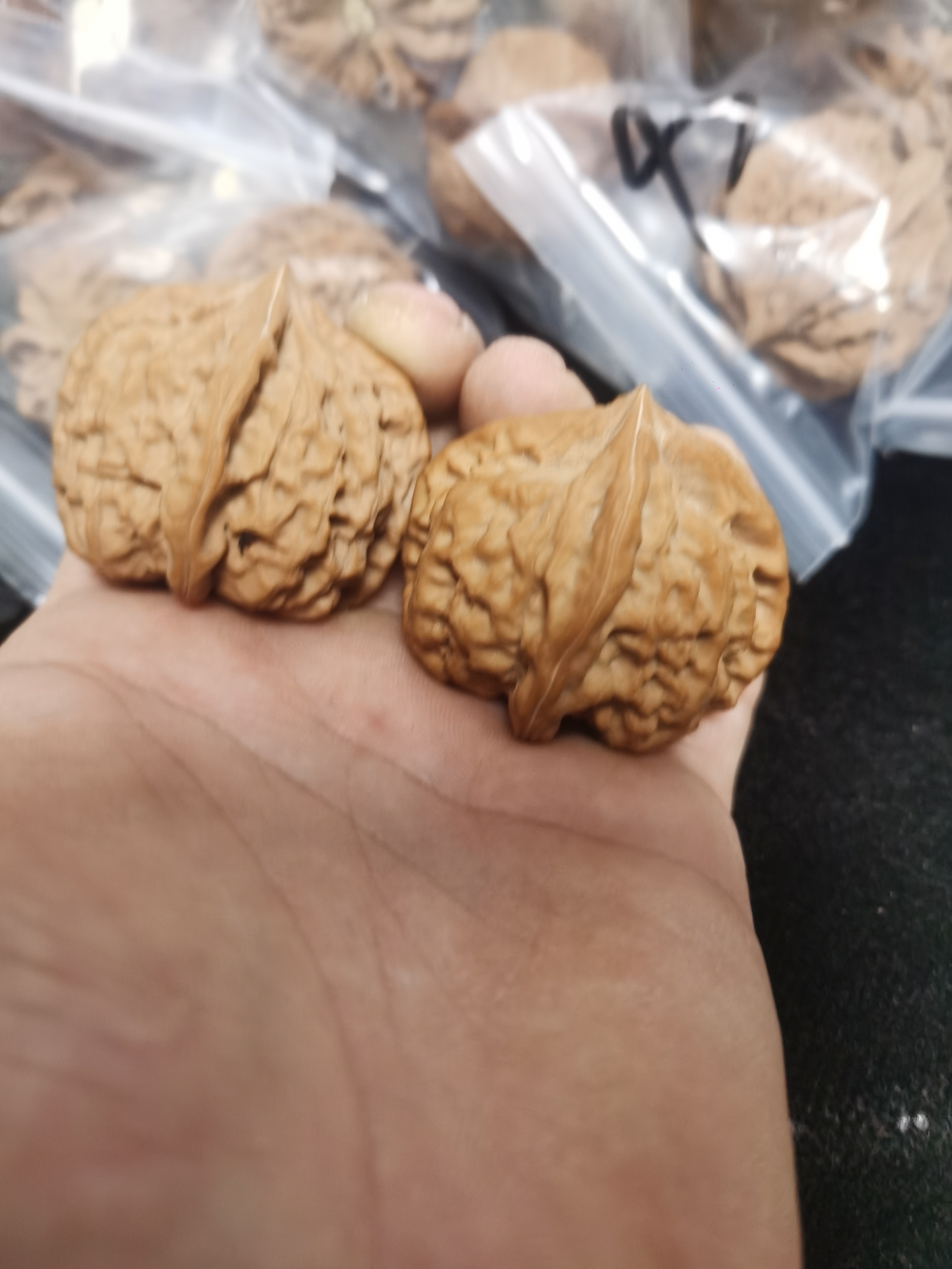野生四棱皮质好骨质硬，纯山地野生果，
