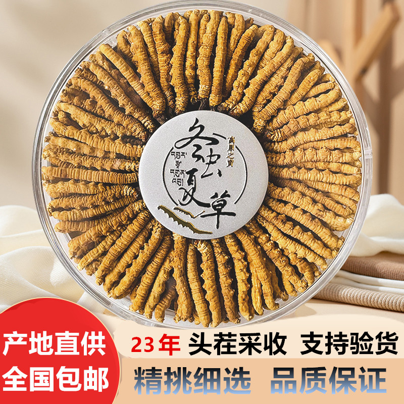 冬虫夏草虫草正品新干头期虫草礼盒装送礼佳品