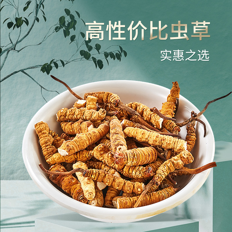 头期冬虫夏草断草自用1-20克装干货大号虫草