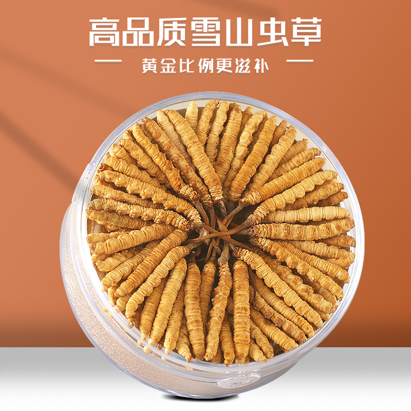 2025头期虫草正品冬虫夏草 虫草滋补品干货泡酒送礼