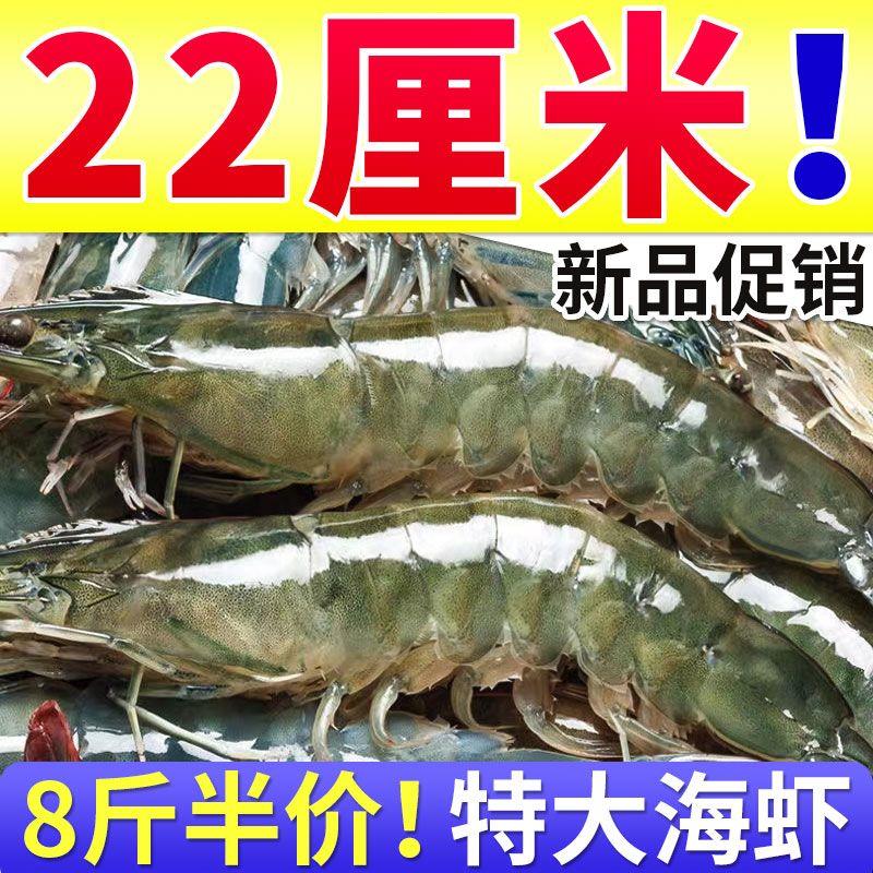 【半价】青岛大虾新鲜超大虾冷冻对虾基围虾青虾海鲜水产批发包邮