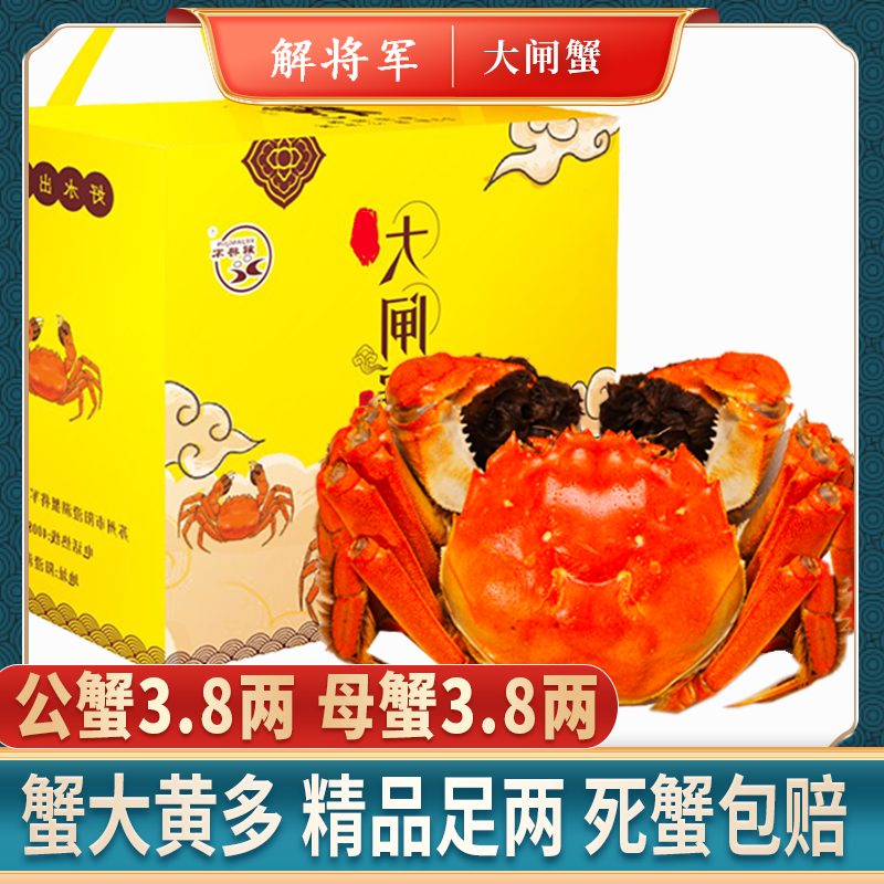 【活蟹】【解将军牌】苏州精品大闸蟹 公蟹3.8两母蟹3.8两 （6/8/10）只
