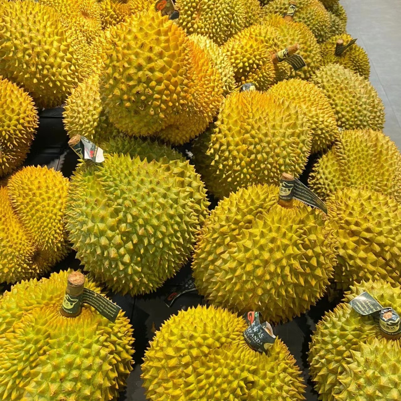 泰国金枕榴莲（21号果）保40%出肉率