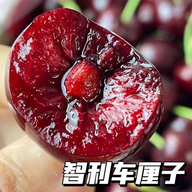 【1小时送到家】2J拉宾斯2斤