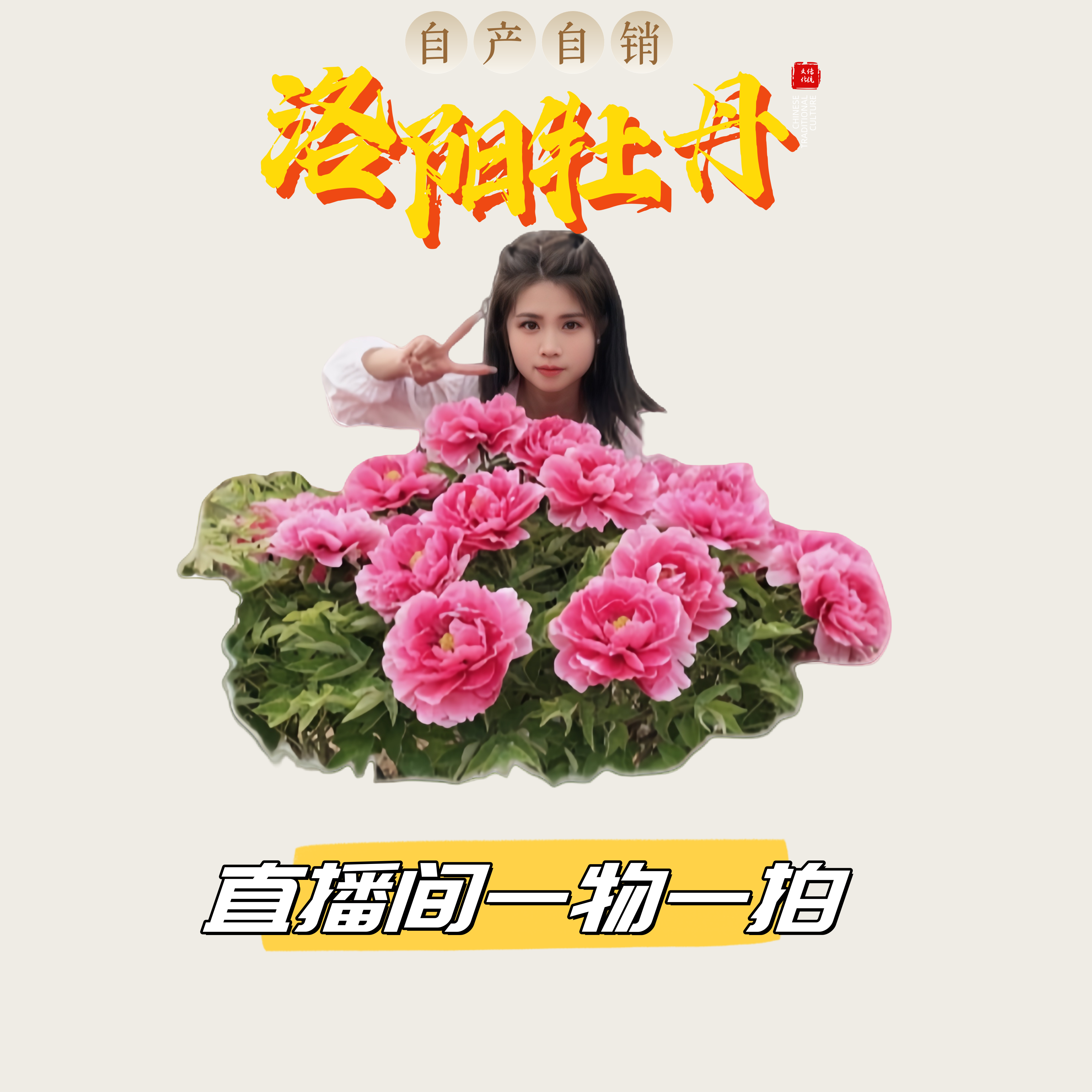 【一物一拍】洛阳正品牡丹直播间专享价四季重瓣种植可选开花基地