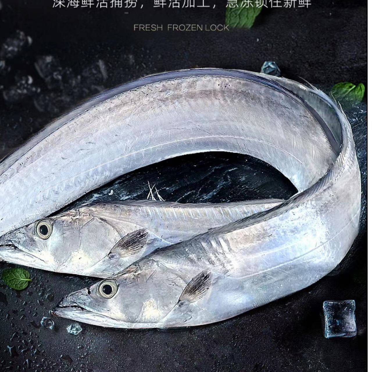 3冬日尝鲜 大带鱼六两左右/条 黄海野生带鱼 带鱼八条四斤半左右